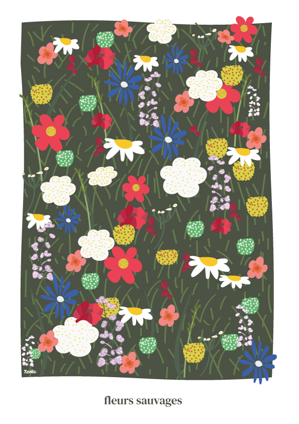 illustration de fleurs sauvages dans un champ. 